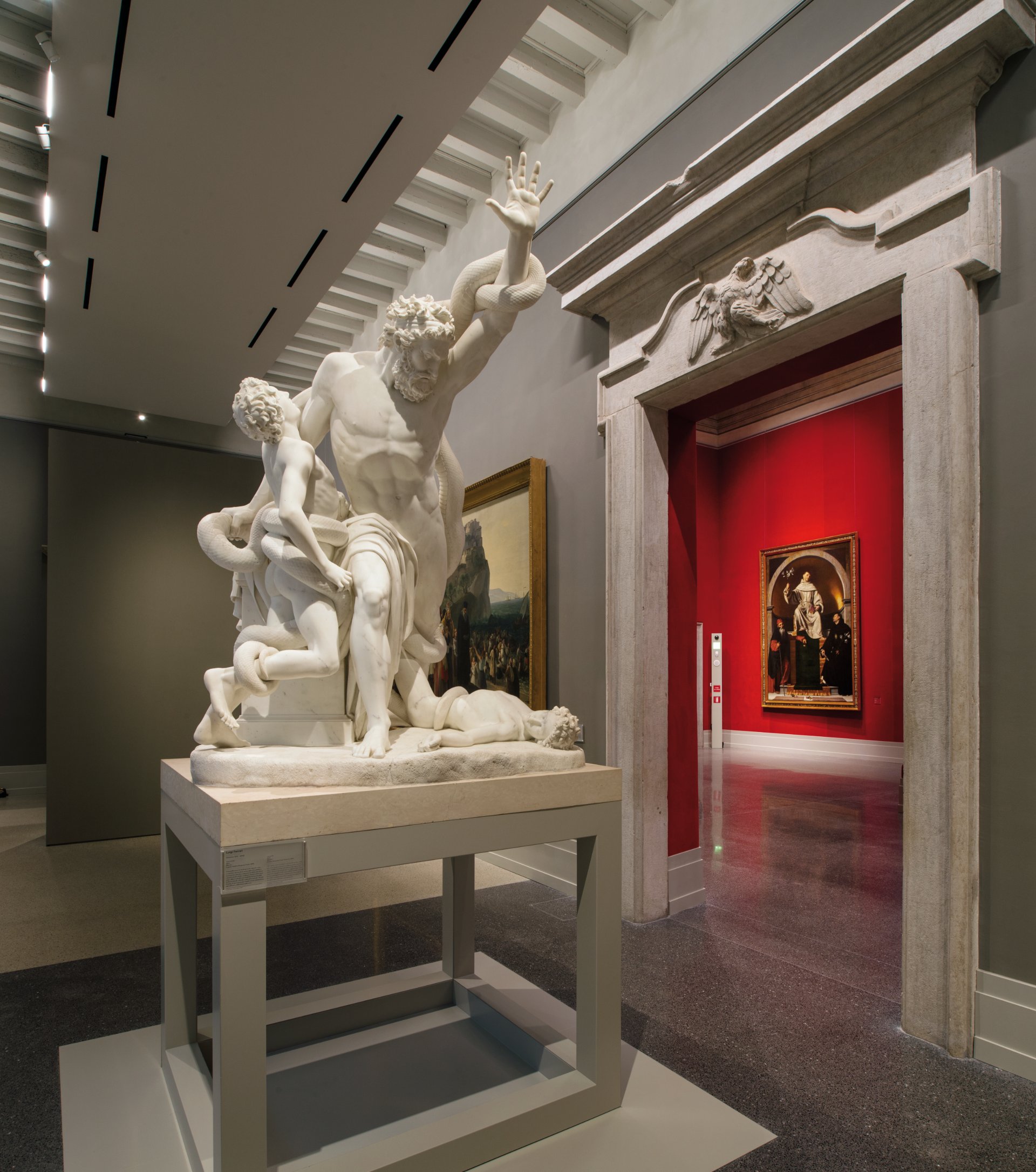 6 PTM Laocoonte alta 6 PTM Laocoonte alta