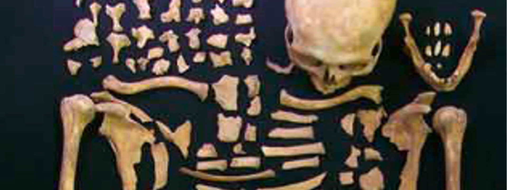 Pranzo al museo con l'esperto Pranzo al museo con l'esperto