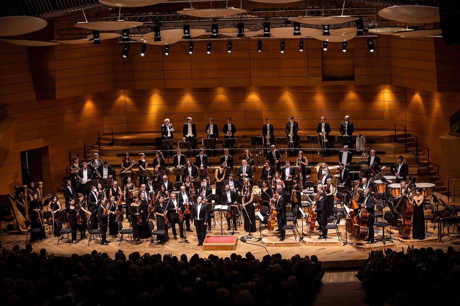 Christmas Concert: The Strauss Waltzes Christmas Concert: The Strauss Waltzes