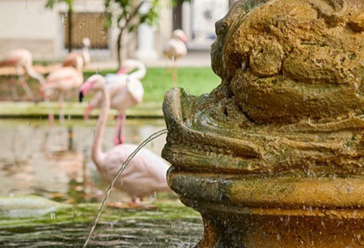 VillaInvernizzi 720x490 VillaInvernizzi 720x490